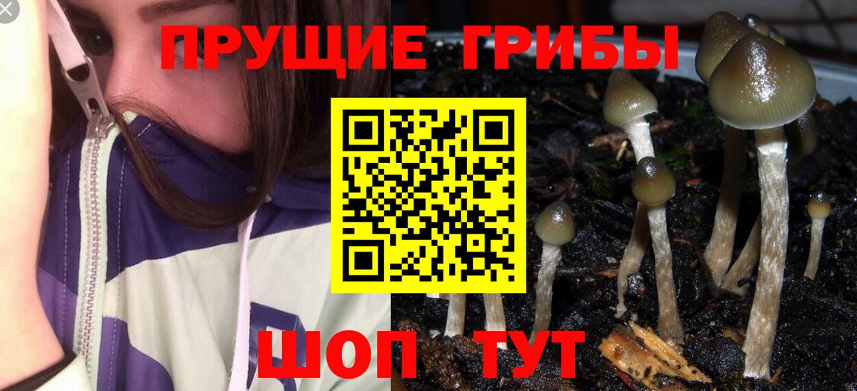 Галлюциногенные грибы ЛСД  Вход с VPN  Александров 